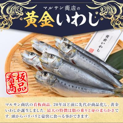 ふるさと納税 佐伯市 <訳あり>佐伯市産真いわしと黄金いわし 食べ比べ (2種・60尾以上) |  | 02