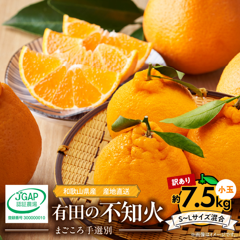 【2027年先行予約】有田の不知火(しらぬひ) 【訳あり　家庭用】7.5kg 小玉（?S～Lサイズ混合）まごころ手選別_ZE6108n