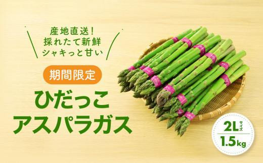 【2025年発送】2Lサイズ以上 ひだっこアスパラガス 1.5kg | アスパラ 野菜 やさい 産地直送 春 夏野菜 採れたて グリーンアスパラガス 期間限定 人気 おいしい ひだっこの里 CM002VC01