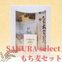 【ふるさと納税】SAKURA select　もち麦セット　【 麦 もち麦 うどん せんべい 食物繊維 ご飯 サラダ スープ もちもち プチプチ おやつ 夜食 ランチ お茶請け 】