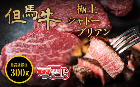 但馬牛 シャトーブリアン 150g×2個 300g 高級和牛 シャトーブリアン ギフト 肉 小分け 冷凍  大容量 おいしい但馬牛 おいしい和牛 グルメ但馬牛 グルメ和牛 但馬牛 和牛 但馬牛 和牛 MSK007