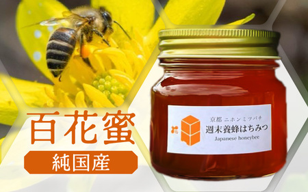 【定期便】 ニホンミツバチのはちみつ 300g×6回 | 蜂蜜 はちみつ ハチミツ 百花蜜