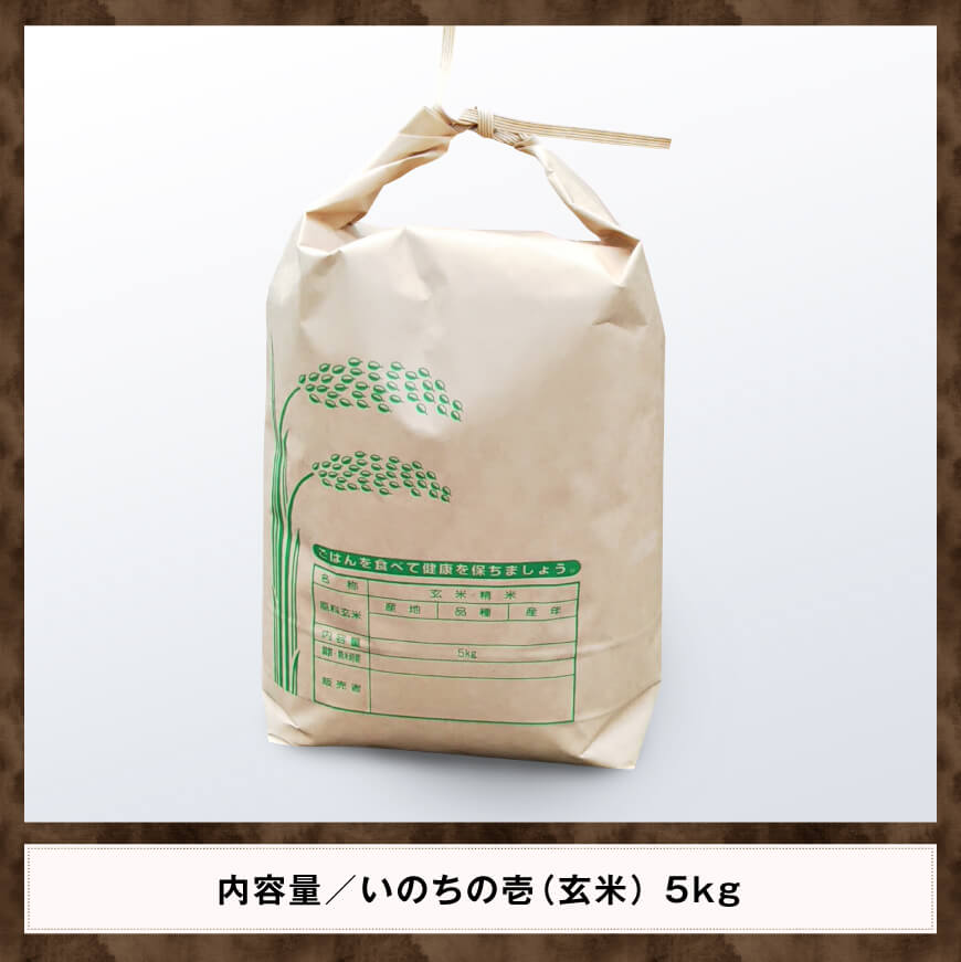 【令和6年産】 黒木農園のお米 「いのちの壱(玄米)」 5kg 【 米 お米 玄米 国産 宮崎県産 いのちのいち おにぎり 】 [D03202]