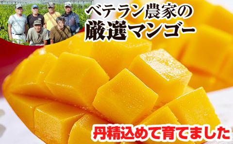 【2024年発送】生産組合が育てる南風原の味　神里マンゴー1kg