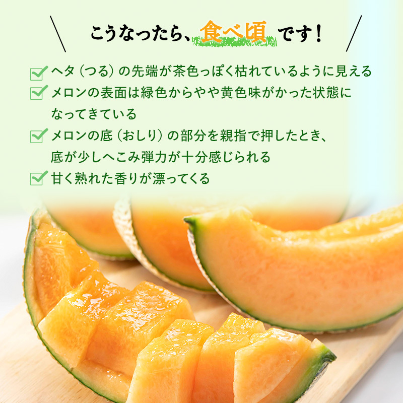 【令和8年産】赤肉メロン JAふらの厳選！ 約1.6kg 2玉 メロン めろん 富良野メロン 果物 くだもの フルーツ 富良野 デザート 北海道 北海道上富良野町 _イメージ4