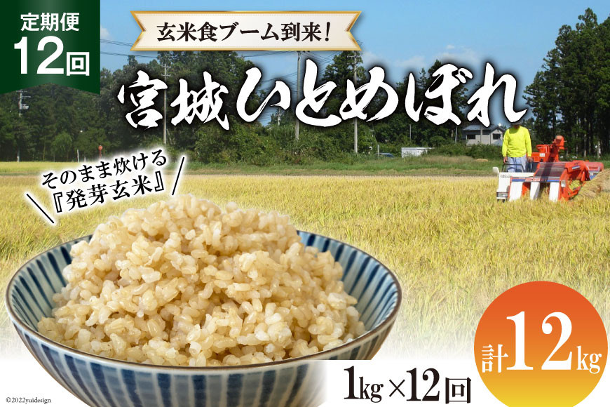 
            【12回定期便】 簡単に炊ける 宮城県産 ひとめぼれ 発芽玄米 計12kg(1kg×12回) [菅原商店 宮城県 加美町] 米 こめ コメ 玄米 発芽玄米 ご飯 | sg00004-r601-1kg-12
          