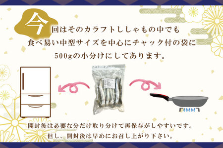 子持カラフトししゃも 3kg （ 500g × 6袋 ） 子持ち カラフトししゃも シシャモ 大洗 魚 魚介_AL015