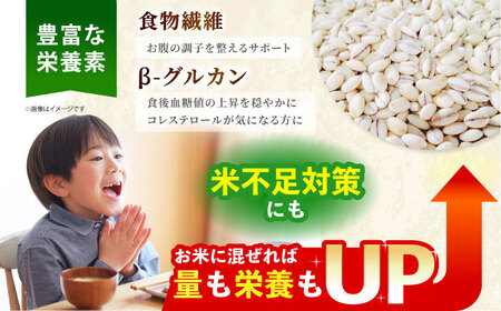 【全3回定期便】丸麦500g（1等麦使用）【葦農】 HAJ040 