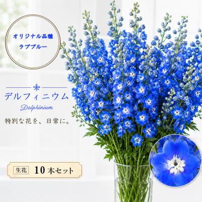 ふるさと納税 長和町 デルフィニウム 生花10本　花色:ラブブルー　〜特別な花をインテリアに〜