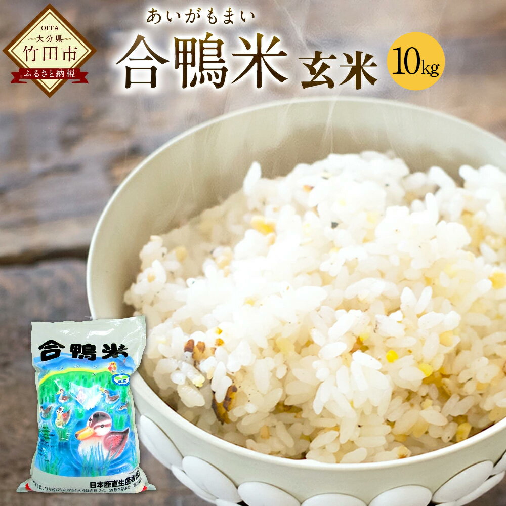 【ふるさと納税】〈令和7年産〉 合鴨米 玄米 10kg 送料無料 ナツホノカ うるち玄米 祖母山 一番水 大分県産【2025年10月上旬～2026年10月上旬発送予定】