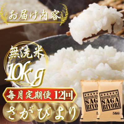 ふるさと納税 吉野ヶ里町 【毎月定期便】【無洗米】さがびより10kg(5kg×2袋)(吉野ヶ里町)全12回 |  | 02