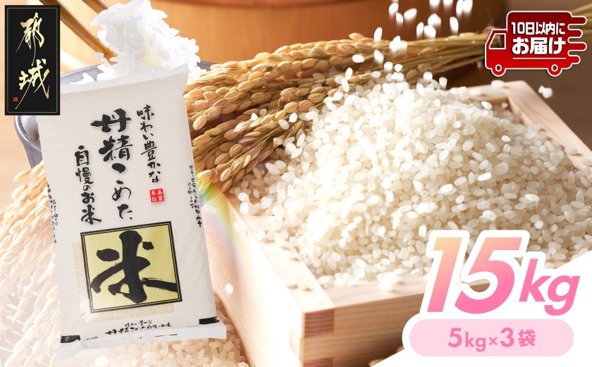 
                  都城産米と国産米ブレンド 15kg≪みやこんじょ特急便≫_AE-33-001-15kg-Q_(都城市) お米 国産ブレンド米 5kg×3袋 精米
                