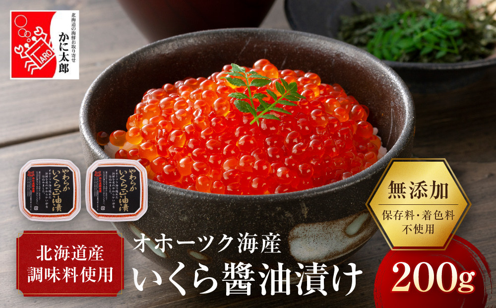 無添加 職人仕込み イクラ 200g (100g×2) 【いくら 醤油漬け いくら醤油漬 小分け 無添加 冷凍 魚卵 お取り寄せ 人気 鮭いくら 旭川市 北海道ふるさと納税 北海道】 _01595