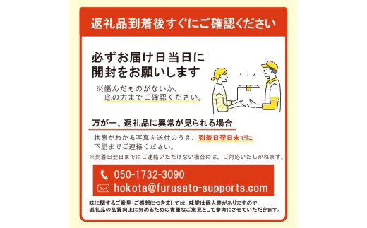 オトメメロン 緑肉 2玉 計3kg～5kg メロン 茨城 果物 くだもの フルーツ 果実 国産 めろん meron melon 旬 デザート 産地直送 農家直送 数量限定 期間限定 旬 贈答用 プレゼント ギフト 贈り物 高級 ふるさと納税メロン 茨城県 鉾田市 ほこたメロン みなみ果樹園芸
