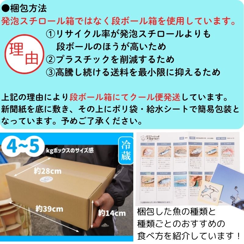【A78004】漁師厳選！ロコフィッシュ(地魚) 下処理済 鮮魚 ボックス(約4～5kg)_イメージ5