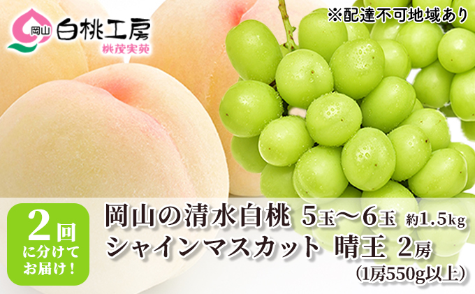 桃 ぶどう 2025年 先行予約 清水 白桃 1.5kg シャインマスカット 晴王 2房 1房550g以上 2回に分けてお届け！ もも 葡萄 定期便 岡山 国産 フルーツ 果物 ギフト 桃茂実苑 