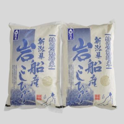 ふるさと納税 村上市 新米【令和7年産米】【無洗米】特別栽培米 新潟県村上市岩船産 コシヒカリ 10kg 1029006