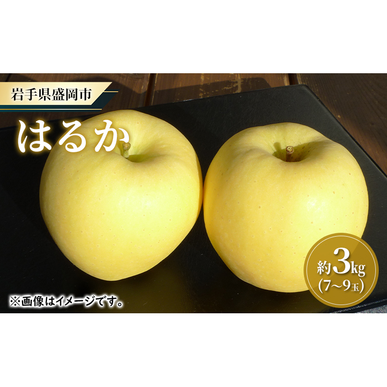 【大櫻農園】はるか 盛岡 完熟 りんご 約3kg（7～9玉） 