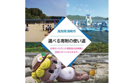 【訳あり】 キハダマグロの赤身 500g まぐろ赤身 鮪の刺身