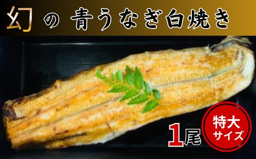 
幻の青うなぎ白焼き（特大サイズ）1尾
