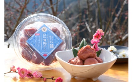 梅 梅干し 日本唯一！烏梅職人手づくり 七百年の伝統 本物梅づくし（竹）味比べ5点セット 無添加 25-038