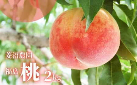 No.2405菱沼農園　福島 桃　2kg【2024年発送】