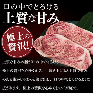 常陸牛サーロインステーキ 400g（NW-3）