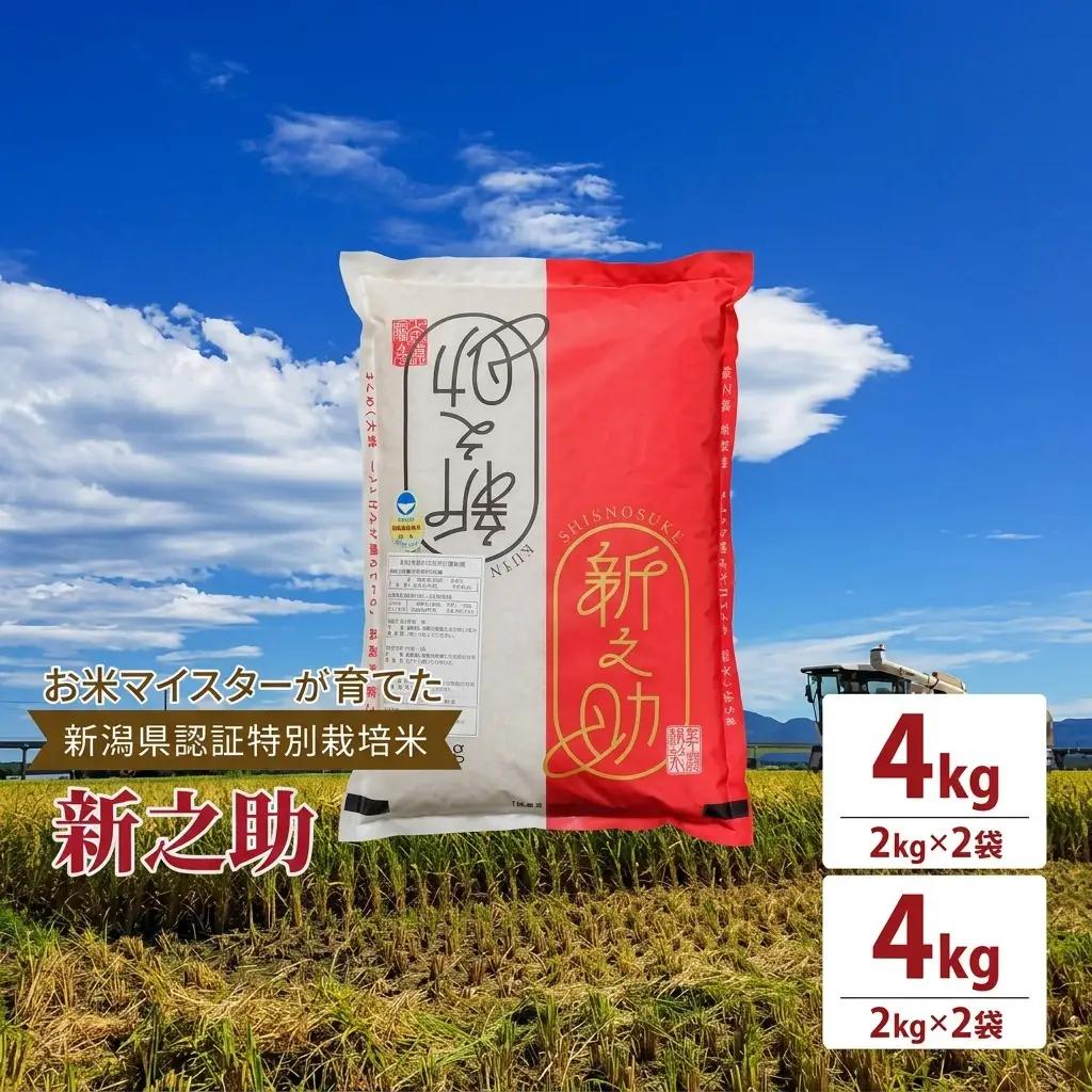 お米マイスター 特別栽培米新之助 上越頸城産 精米4kg 新之助