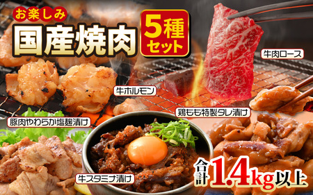 国産 お楽しみ 焼肉セット 合計1.4kg以上【牛肉ロース 味付け肉 牛ホルモン 豚肉 鶏肉 小分け 便利 BBQセット】 [e03-b004]