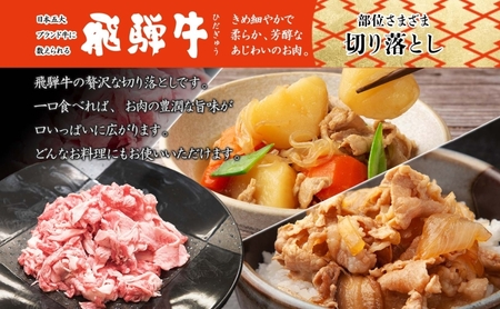 飛騨牛 切り落とし 薄切り 和牛 飛騨牛【350g×2P】【冷凍】