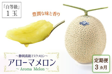 【毎月定期便】アローマメロン(白等級) 1玉 全3回 6249