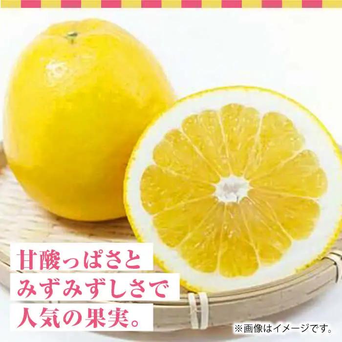 【先行予約】ジューシー オレンジ 約10kg 果物オレンジ柑橘ZBG012