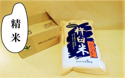 
            【精米3ヶ月定期便】特別栽培「きなうす米」ふっくりんこ5kg×3回　J034
          