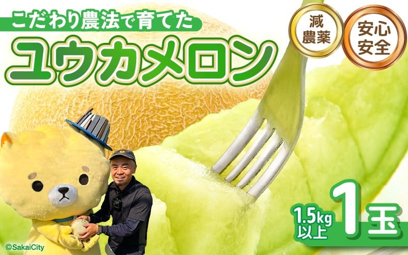 
            【先行予約】 安心安全！減農薬！こだわり農法で育てた ユウカメロン 1玉 1.5kg以上 【2026年6月中旬以降順次発送予定】 【メロン めろん フルーツ デザート 果物 くだもの 果実 糖度 甘い 産地直送 国産】 [A-21206]
          