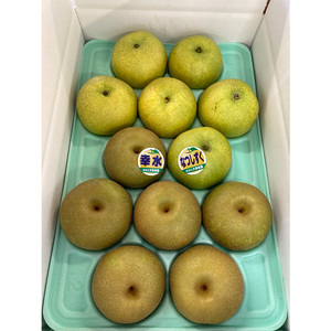 【定期便】梨(品種お任せ) 3kg箱(秀品) | 栃木県 宇都宮市 梨 なし 果物 フルーツ 秋 旬 梨 3kg 秀品 贈答 ギフト ※2026年8月～発送