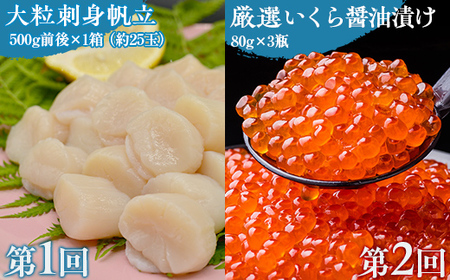 【毎月定期便】網走自慢の美味定期便(刺身帆立・いくら醤油漬け・イカ刺身)全3回 【 ふるさと納税 人気 おすすめ ランキング ホタテ ほたて 帆立 いくら イクラ いくら醤油漬 イクラ醤油漬 いか刺身