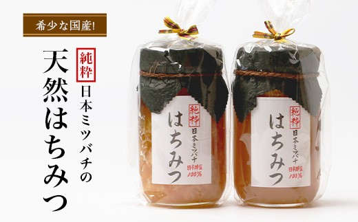 
                  【数量限定】国産[純粋]日本ミツバチの天然はちみつ（270g×２本）CB003｜鹿児島県 南大隅町
                