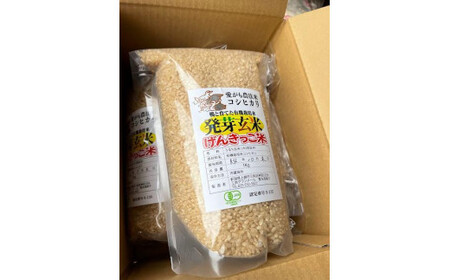 JAS有機発芽玄米アイガモ農法コシヒカリ（１ｋｇ×３）