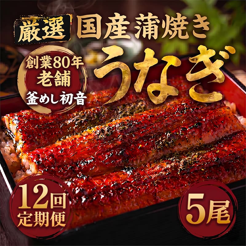 【定期便12回】70年継ぎ足しの秘伝のたれ！初音の厳選高知県産うなぎ蒲焼き5尾（1尾約190g～220g）＿ 国産 うなぎ 鰻 蒲焼き かば焼き タレ付き 高知県産 冷凍 海鮮 うな重 ひつまぶし 人