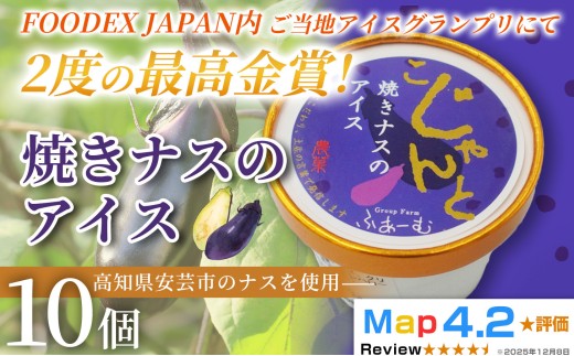 焼きナスのアイス 100ml×10個 アイスクリーム 人気 ご当地アイス 高知県 ナス スイーツ デザート ヘルシー 手作り 炭火焼き 最高金賞 話題 ユニーク 変わり種 ホームパーティー おもてなし 詰め合わせ 贈り物 贈答 ギフト プレゼント 1995年 ロングセラー 日本一 FOODEX JAPAN グランプリ 受賞 リピート 安芸市 高知県