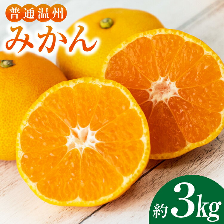 【ふるさと納税】温州みかん 約3kg（2L～S）みかん ミカン 蜜柑 柑橘 果物 くだもの フルーツ 3キロ 国産 九州 長崎県 長崎市 送料無料【2025年12月上旬～2025年1月下旬発送予定】