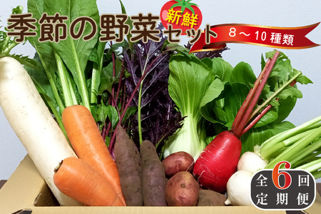 【定期便 全6回】季節の野菜詰め合わせセット（新鮮 採れたて 野菜 セット 定期便 詰め合わせ 宮崎県）