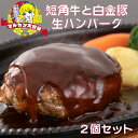 【ふるさと納税】短角牛と白金豚 生ハンバーグ 2個セット【マルカンビル大食堂料理長監修】 豚肉 牛肉 ブランド肉