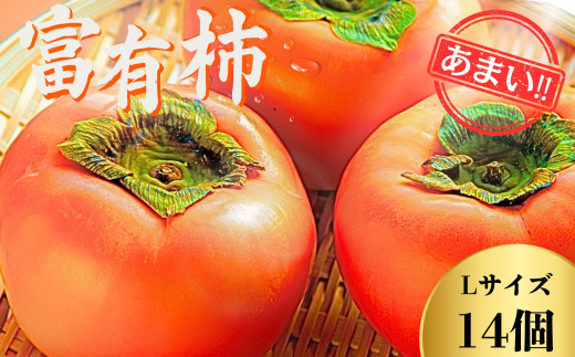 【先行予約】Farm m&aの富有柿 L×14個 秀品 岐阜県 大野町（2026年11月下旬～発送）農家直送 果物 フルーツ 秋の味覚 柿 かき 富有 ふゆう
