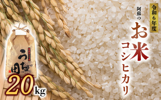 令和6年度産　内田農場の新米　コシヒカリ20kg 5kg×4袋 白米