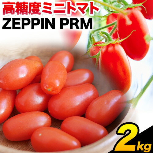 トマト とまと 高糖度トマト OSMICトマト 2kg 甘い トマト フルーツトマト ミニトマト 野菜 フルーツ ハウス フルーツ感覚 甘い おいしい
