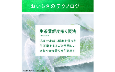 【定期便】【毎月3回】キリン 生茶 525ml × 24本 × 3ヶ月