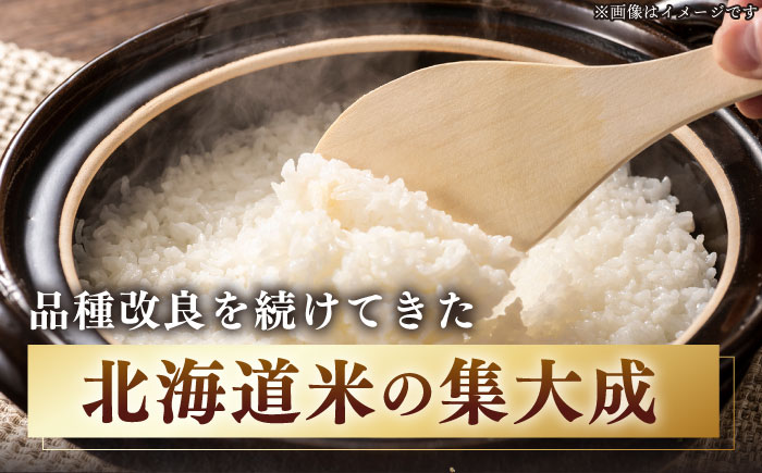 【全2回定期便】【令和6年産新米】北海道の限られた農家だけが作る 希少なお米「ゆめぴりか」10kg 《厚真町》【とまこまい広域農業協同組合】米 こめ 精米 白米 北海道 ゆめぴりか 特A 北海道産 定