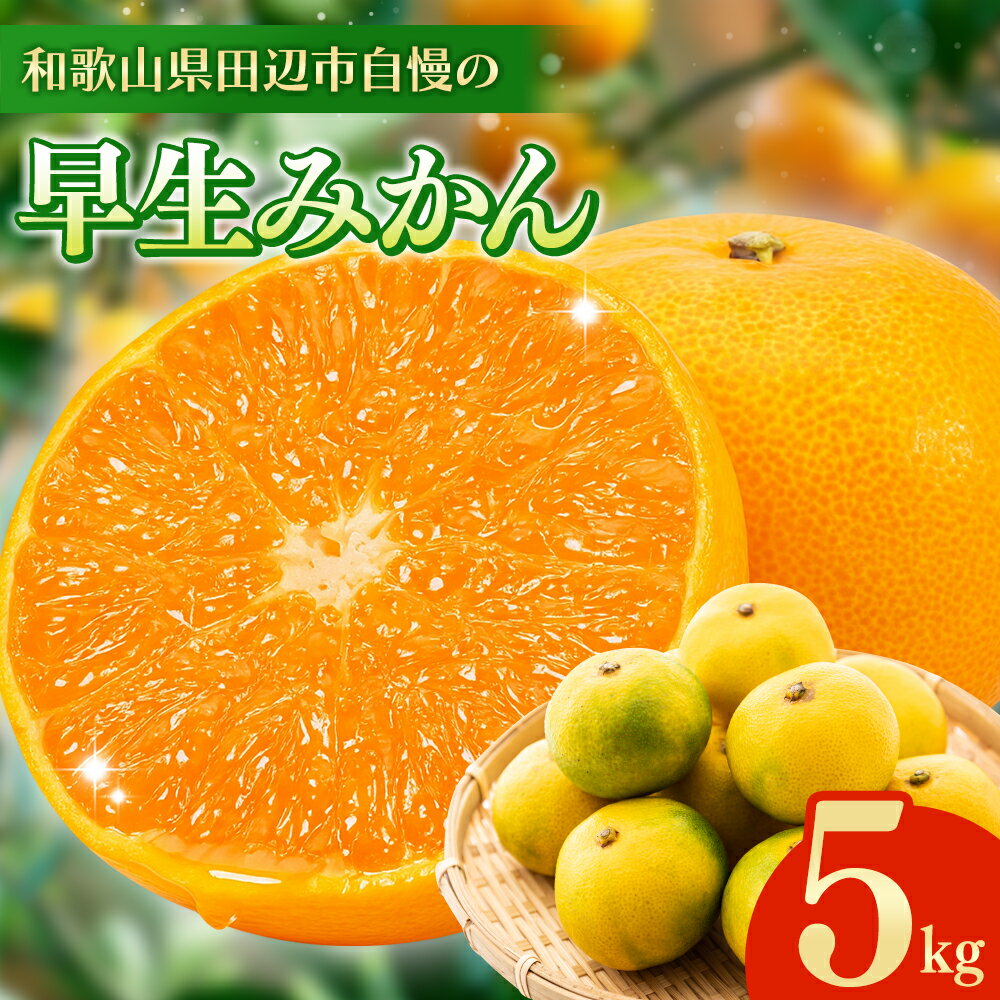 【ふるさと納税】 ＼先行予約／ 早生みかん 【選べる容量】 3kg 5kg （2025年12月以降順次発送予定） / みかん 早生みかん 早生 ミカン 柑橘 フルーツ 果物 紀州産 和歌山県