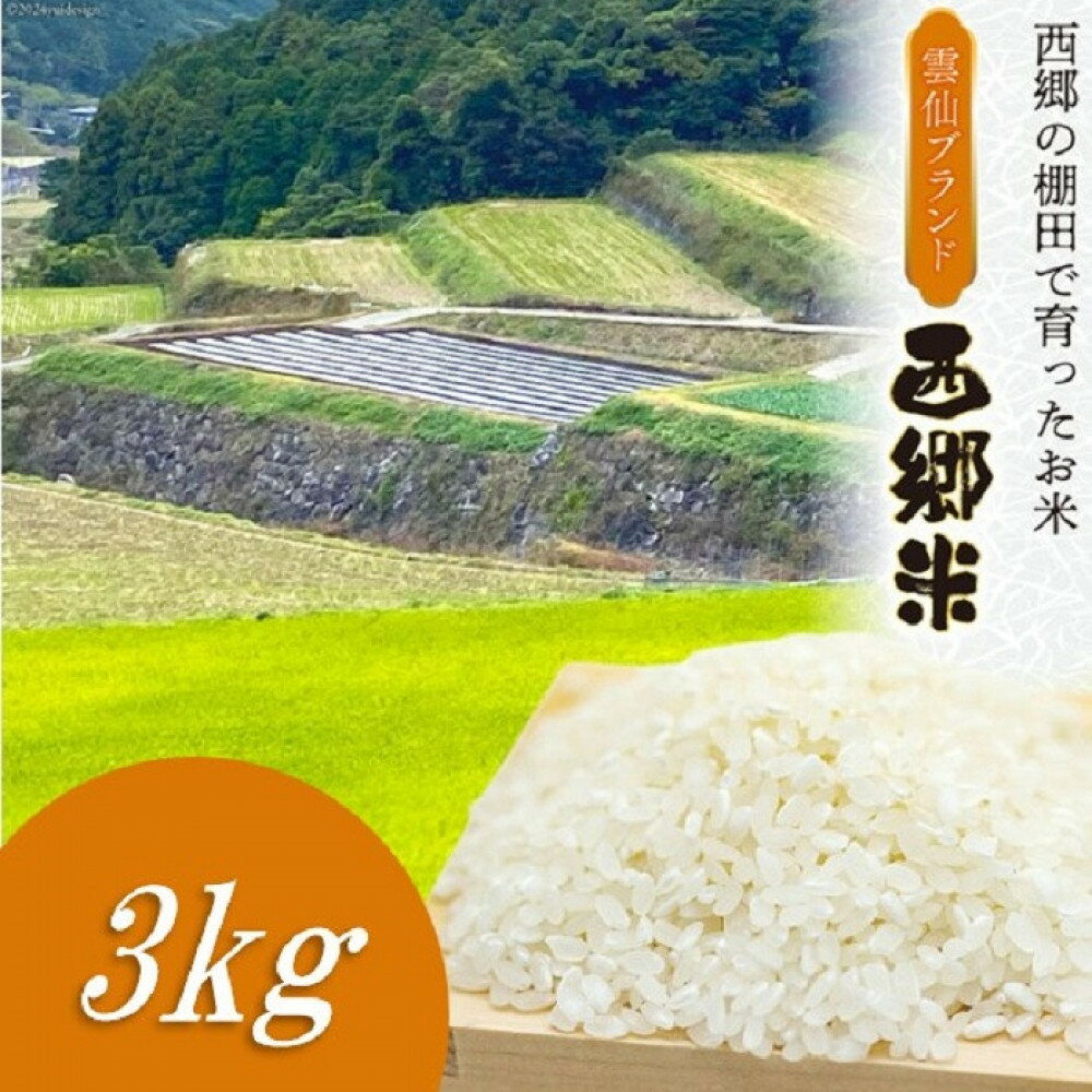 【ふるさと納税】雲仙ブランド認定商品　「西郷米」白米　3kg